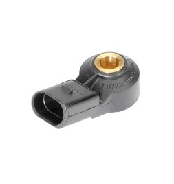 Reprehenderit Aliquam